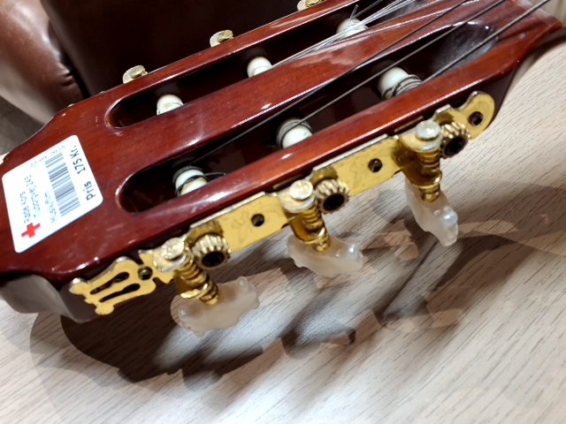 Guitar